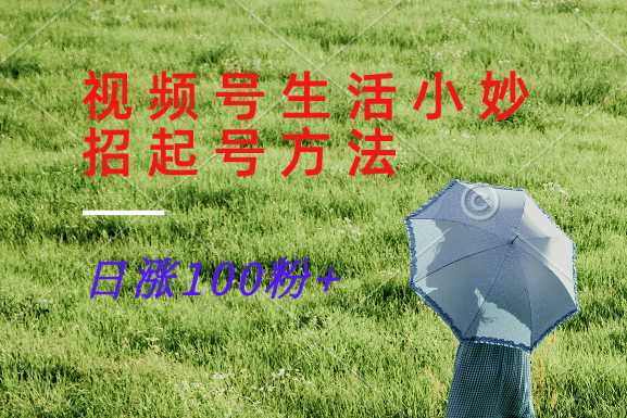视频号生活小妙招分享赛道， 起号涨粉新方法，日涨100粉-叮当猫聊项目