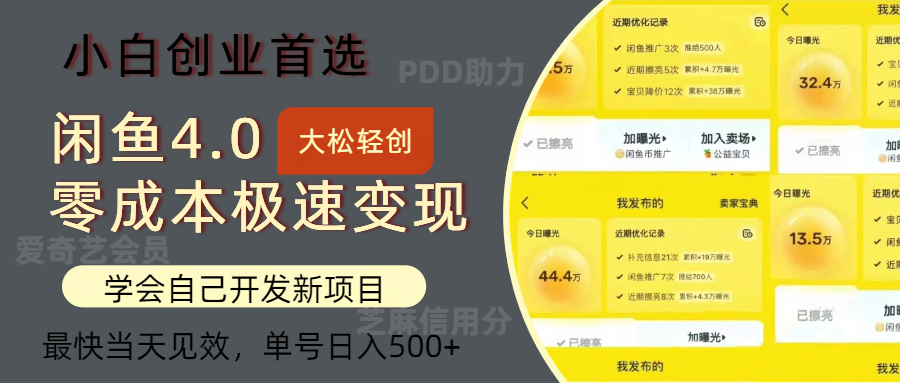 （12434期）闲鱼0成本极速变现项目，多种变现方式 单号日入500+最新玩法-叮当猫聊项目