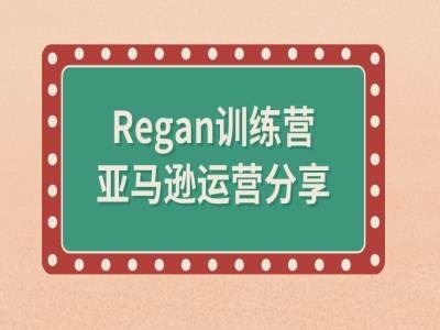 亚马逊流程全解析(Regan训练营)-叮当猫聊项目