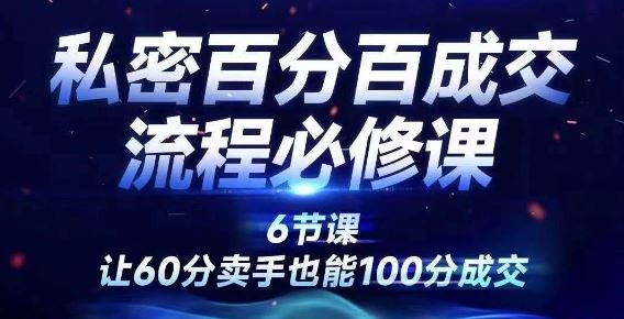 私密百分百成交流程线上训练营，绝对成交，让60分卖手也能100分成交-叮当猫聊项目