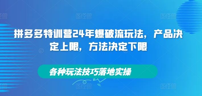 拼多多特训营24年爆破流玩法，产品决定上限，方法决定下限，各种玩法技巧落地实操-叮当猫聊项目