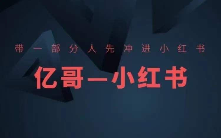 ​​带一部分人先冲进小红书，小红书开店、选品、爆款裂变-叮当猫聊项目