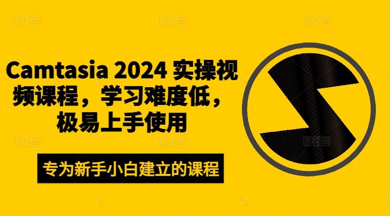 Camtasia 2024 实操视频课程，学习难度低，极易上手使用-叮当猫聊项目