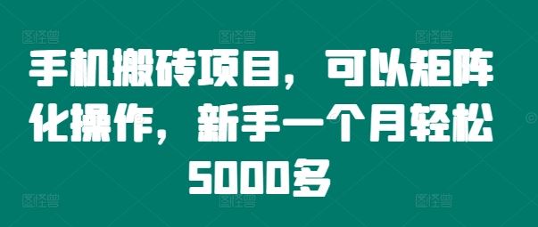 手机搬砖项目，可以矩阵化操作，新手一个月轻松5000多-叮当猫聊项目