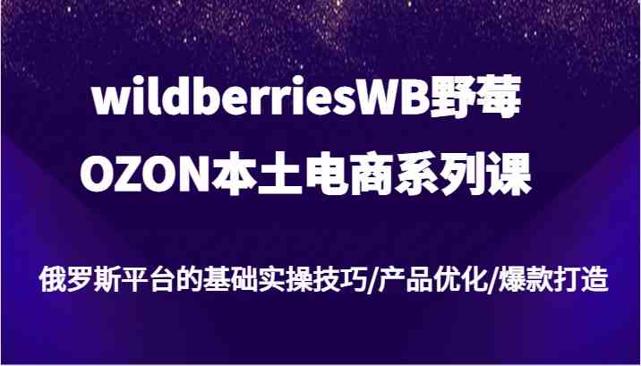 wildberriesWB野莓/OZON本土电商系列课，俄罗斯平台的基础实操技巧/产品优化/爆款打造-叮当猫聊项目