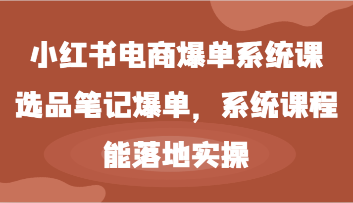 小红书电商爆单系统课-选品笔记爆单，系统课程，能落地实操-叮当猫聊项目