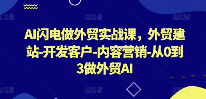 AI闪电做外贸实战课，​外贸建站-开发客户-内容营销-从0到3做外贸AI(更新)-叮当猫聊项目