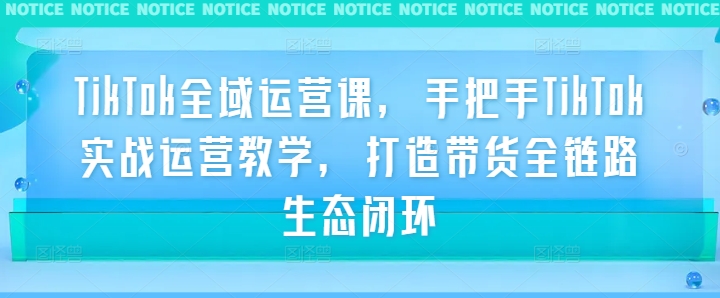 TikTok全域运营课，手把手TikTok实战运营教学，打造带货全链路生态闭环-叮当猫聊项目