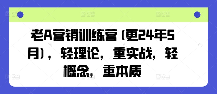 老A营销训练营(更24年9月)，轻理论，重实战，轻概念，重本质-叮当猫聊项目