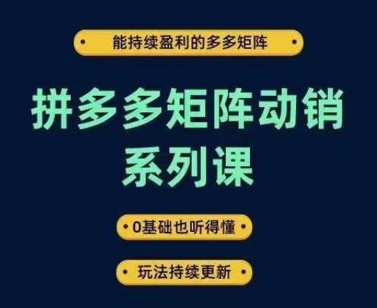 拼多多矩阵动销系列课，能持续盈利的多多矩阵，0基础也听得懂，玩法持续更新-叮当猫聊项目