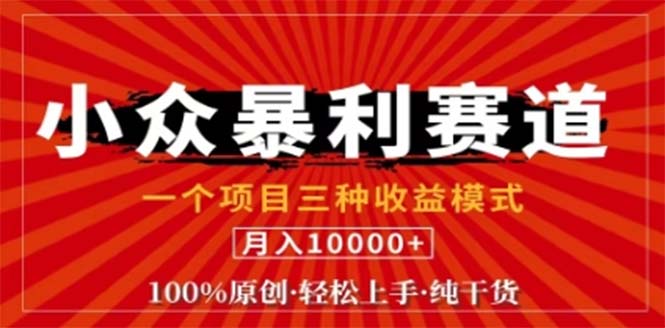 视频号最新爆火赛道，三种可收益模式，0粉新号条条原创条条热门 日入1000+-叮当猫聊项目