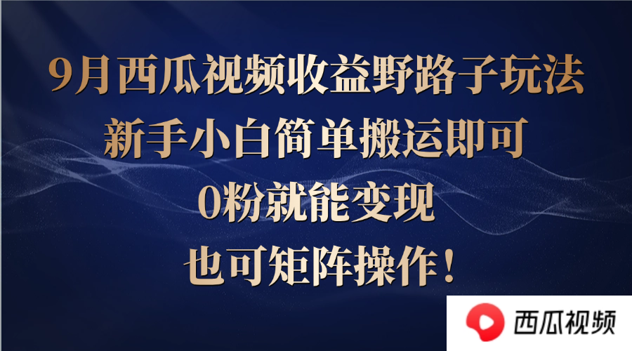西瓜视频收益野路子玩法，新手小白简单搬运即可，0粉就能变现，也可矩…-叮当猫聊项目
