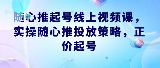 随心推起号线上视频课，实操随心推投放策略，正价起号-叮当猫聊项目