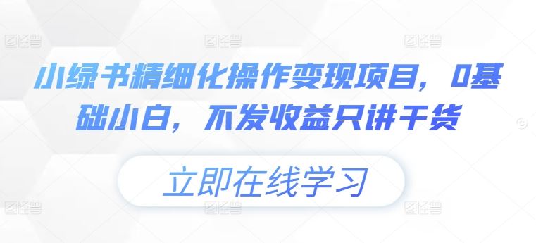 小绿书精细化操作变现项目，0基础小白，不发收益只讲干货-叮当猫聊项目