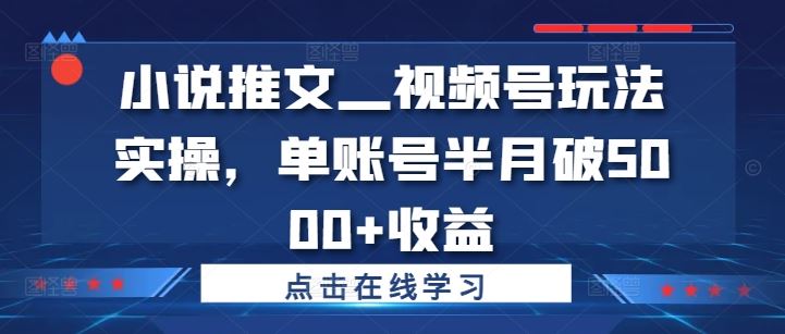 小说推文—视频号玩法实操，单账号半月破5000+收益-叮当猫聊项目