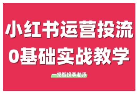 小红书运营投流，小红书广告投放从0到1的实战课，学完即可开始投放-叮当猫聊项目