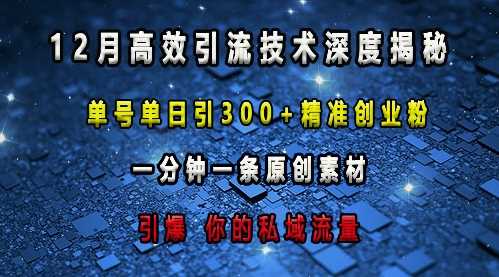 最新高效引流技术深度揭秘 ，单号单日引300+精准创业粉，一分钟一条原创素材，引爆你的私域流量-叮当猫聊项目