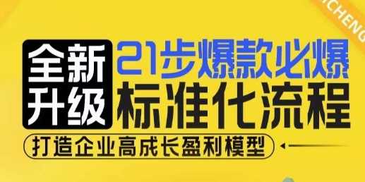 21步爆款必爆标准化流程，全新升级，打造企业高成长盈利模型-叮当猫聊项目