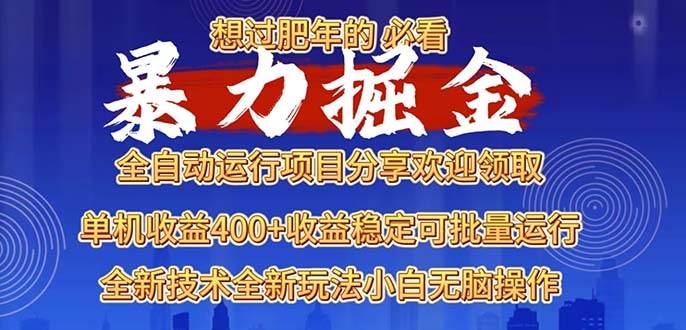 （13675期）2025暴力掘金项目，想过肥年必看！-叮当猫聊项目