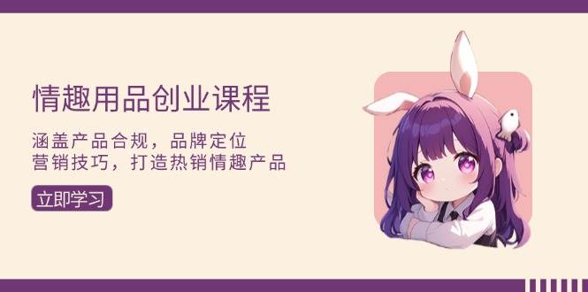 （13682期）情趣用品创业课程：涵盖产品合规，品牌定位，营销技巧，打造热销情趣产品-叮当猫聊项目