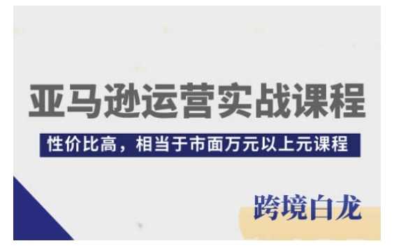亚马逊运营实战课程，亚马逊从入门到精通，性价比高，相当于市面万元以上元课程-叮当猫聊项目