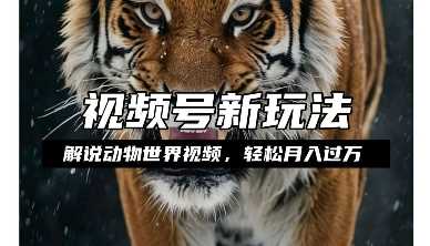 利用动物世界解说视频，赚分成计划收益，轻松月入过W，操作简单【揭秘】-叮当猫聊项目