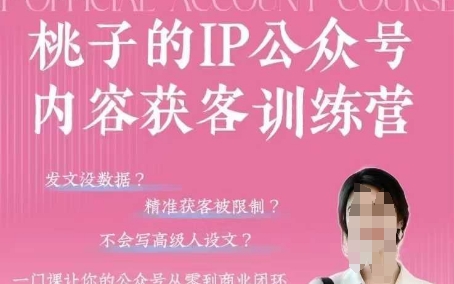 桃子IP公众号内容获客训练营(第3期)，一门让你公众号从0到商业闭环的课程-叮当猫聊项目