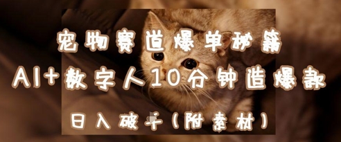 宠物赛道爆单秘籍：AI+数字人10分钟造爆款，日入1k-叮当猫聊项目