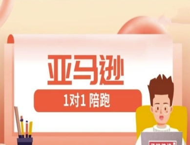亚马逊1对1陪跑课(FBA/FBM精铺)跨境亚马逊教程-叮当猫聊项目