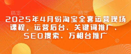 2025年4月份淘宝全套运营现场课程，运营后台、关键词推广、SEO搜索、万相台推广-叮当猫聊项目
