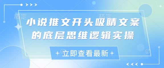 小说推文开头吸睛文案的底层思维逻辑实操-叮当猫聊项目