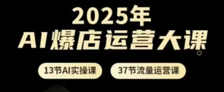 2025年AI爆店运营大课，13节AI实操课+37节流量运营课-叮当猫聊项目