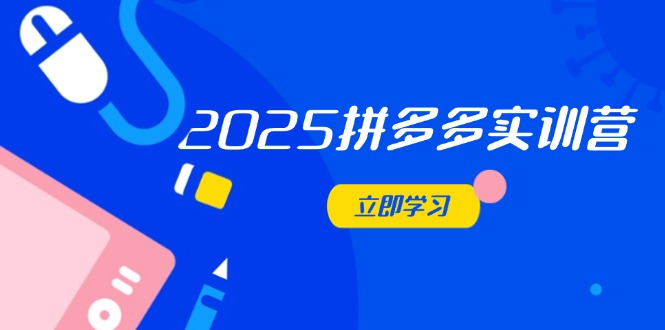 2025拼多多实训营：深度剖析运营关键，助力电商人快速提升-叮当猫聊项目