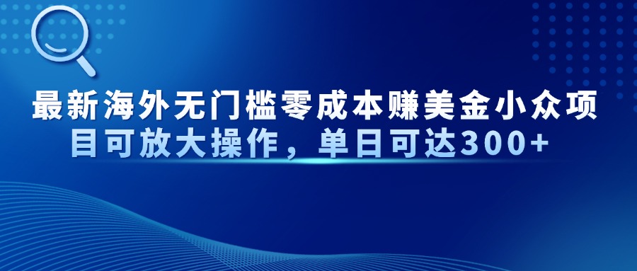 最新海外无门槛零成本赚美金小众项目可放大操作，单日可达300+-叮当猫聊项目