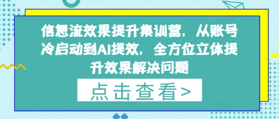 信息流效果提升集训营，从账号冷启动到AI提效，全方位立体提升效果解决问题-叮当猫聊项目