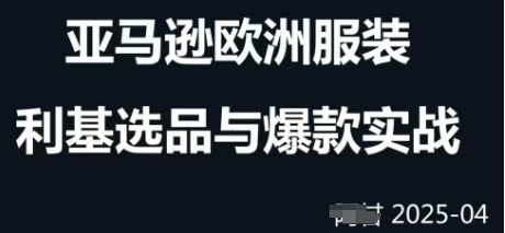 跨境电商选品案例24-25年，聚焦跨境电商选品策略与运营优化，助力卖家挖掘蓝海市场-叮当猫聊项目
