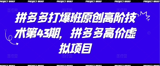 拼多多打爆班原创高阶技术第43期，拼多多高价虚拟项目-叮当猫聊项目