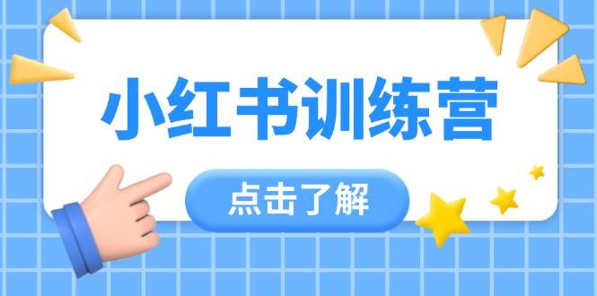 小红书训练营，助小白入门，掌握技巧变达人，课程实操又全面(12节课)-叮当猫聊项目