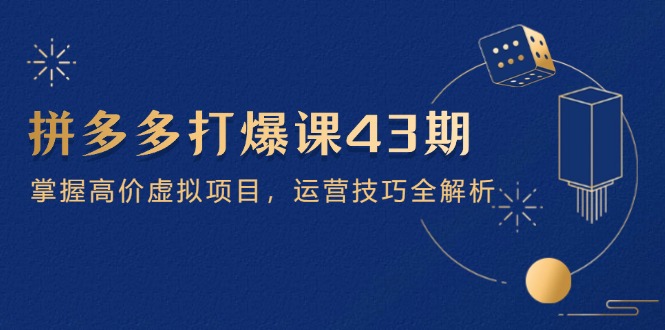 拼多多打爆课第 43 期，掌握高价虚拟项目，运营技巧全解析(15节-叮当猫聊项目