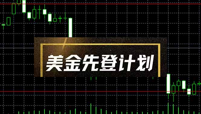 美金先登计划(2025黑马项目-叮当猫聊项目