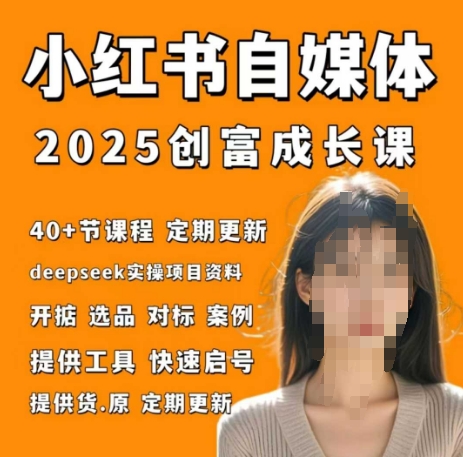 小红书电商自媒体创富课2.0版，实战打卡笔记训练营-叮当猫聊项目