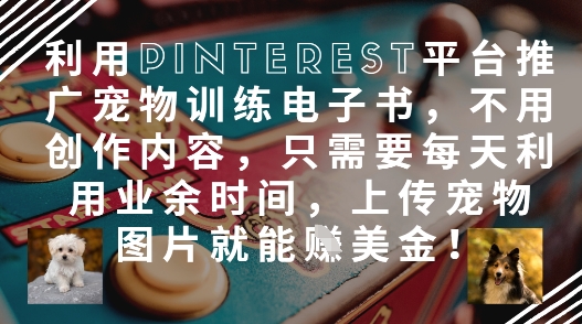 利用Pinterest平台推广宠物训练电子书，不用创作内容，只需要每天利用业余时间，上传宠物图片就能挣美金!-叮当猫聊项目
