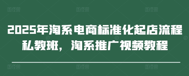 2025年淘系电商标准化起店流程私教班，淘系推广视频教程-叮当猫聊项目