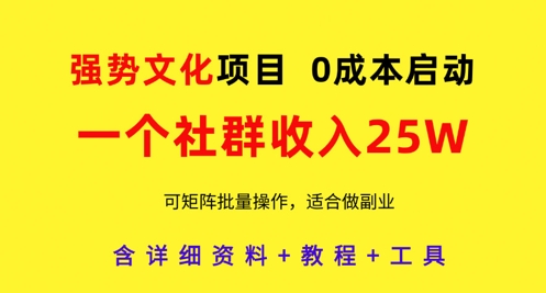 强势文化项目，一个社群收入25个W，0成本启动，可矩阵批量操作，原创详细实操教程-叮当猫聊项目