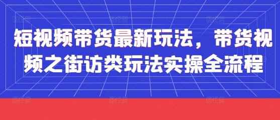 短视频带货最新玩法，带货视频之街访类玩法实操全流程-叮当猫聊项目