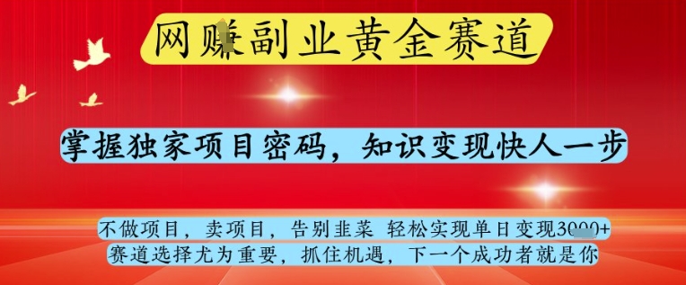 网创副业黄全赛道，掌握独家项目密码，知识变现快人一步，告别韭菜轻松实现单日变现1k+【揭秘】-叮当猫聊项目