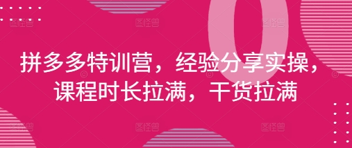 拼多多特训营，经验分享实操，课程时长拉满，干货拉满(更新25年4月)-叮当猫聊项目