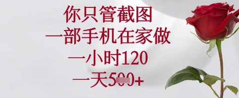 你只管截图，一部手机在家可以做，一小时120.一天5张+【揭秘】-叮当猫聊项目