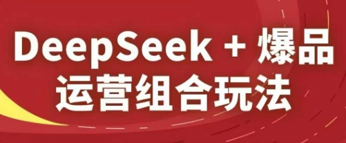 DeepSeek+爆品运营组合玩法，2025淘系精品课-叮当猫聊项目