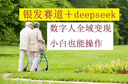 银发赛道+deepseek数字人全域变现，小白也能操作-叮当猫聊项目